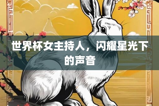 世界杯女主持人，闪耀星光下的声音