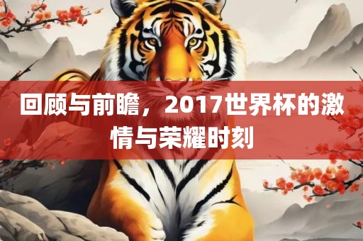 回顾与前瞻，2017世界杯的激情与荣耀时刻