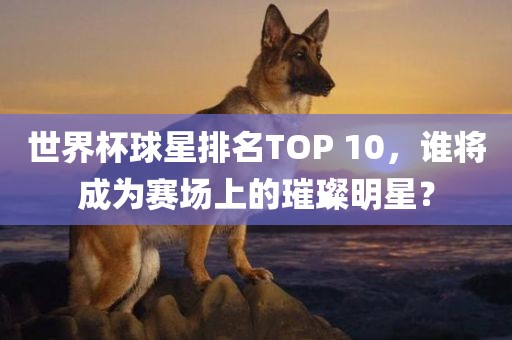 世界杯球星排名TOP 10，谁将成为赛场上的璀璨明星？