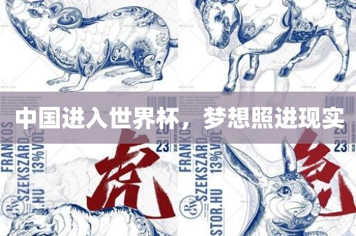 中国进入世界杯，梦想照进现实