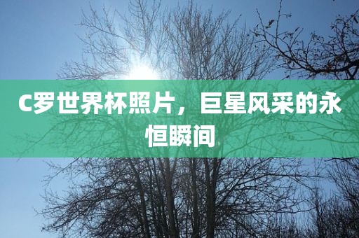 C罗世界杯照片，巨星风采的永恒瞬间