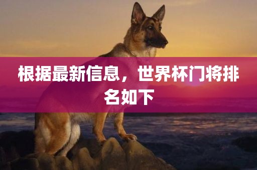 根据最新信息，世界杯门将排名如下