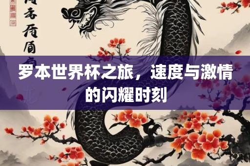 罗本世界杯之旅，速度与激情的闪耀时刻