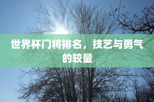 世界杯门将排名，技艺与勇气的较量