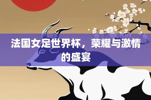法国女足世界杯，荣耀与激情的盛宴