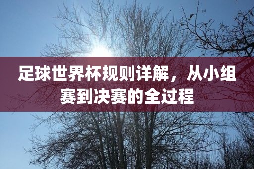 足球世界杯规则详解，从小组赛到决赛的全过程