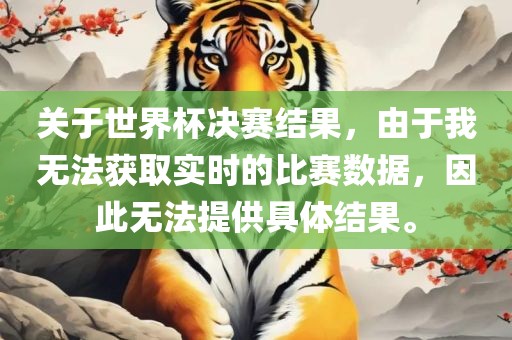 关于世界杯决赛结果，由于我无法获取实时的比赛数据，因此无法提供具体结果。
