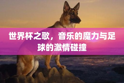 世界杯之歌，音乐的魔力与足球的激情碰撞
