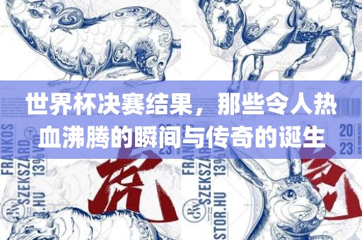 世界杯决赛结果，那些令人热血沸腾的瞬间与传奇的诞生