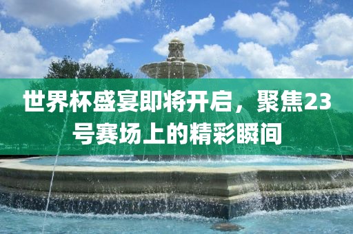 世界杯盛宴即将开启，聚焦23号赛场上的精彩瞬间