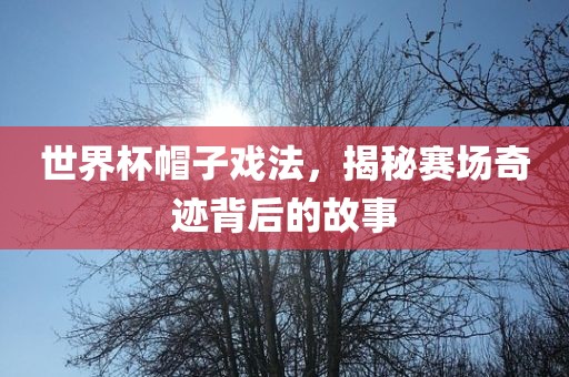 世界杯帽子戏法，揭秘赛场奇迹背后的故事