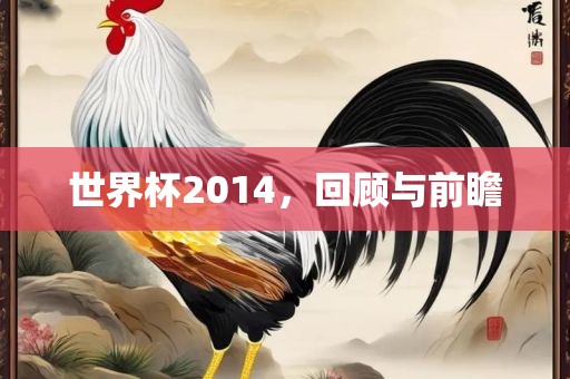 世界杯2014，回顾与前瞻