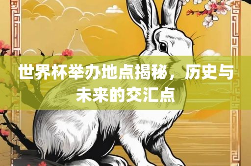 世界杯举办地点揭秘，历史与未来的交汇点