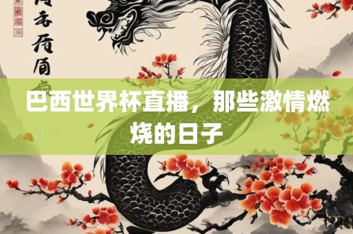 巴西世界杯直播，那些激情燃烧的日子