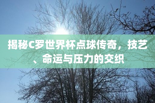 揭秘C罗世界杯点球传奇，技艺、命运与压力的交织