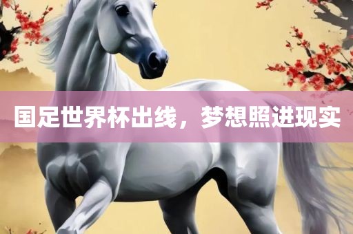 国足世界杯出线，梦想照进现实