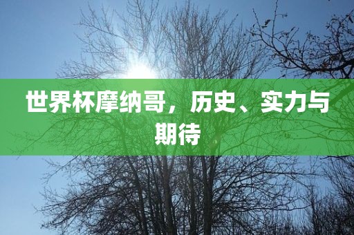 世界杯摩纳哥，历史、实力与期待