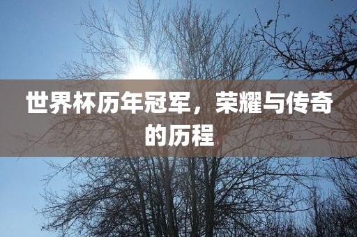 世界杯历年冠军，荣耀与传奇的历程