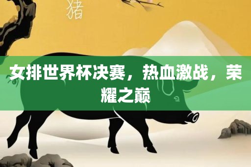 女排世界杯决赛，热血激战，荣耀之巅
