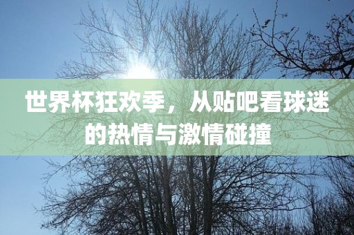 世界杯狂欢季，从贴吧看球迷的热情与激情碰撞