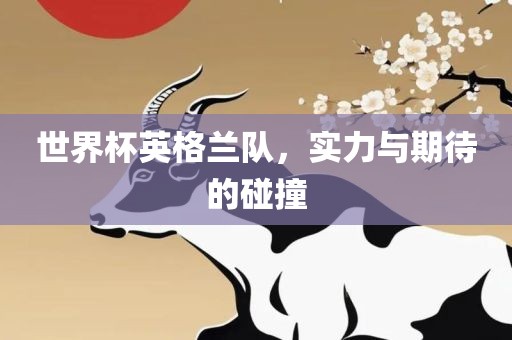 世界杯英格兰队，实力与期待的碰撞