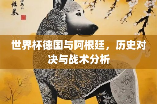 世界杯德国与阿根廷，历史对决与战术分析