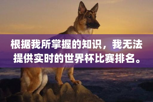 根据我所掌握的知识，我无法提供实时的世界杯比赛排名。