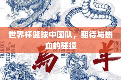 世界杯篮球中国队，期待与热血的碰撞