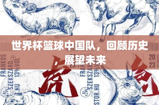 世界杯篮球中国队，回顾历史，展望未来
