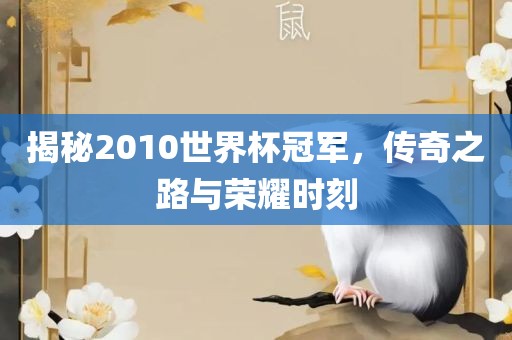 揭秘2010世界杯冠军，传奇之路与荣耀时刻