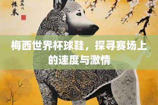 梅西世界杯球鞋，探寻赛场上的速度与激情