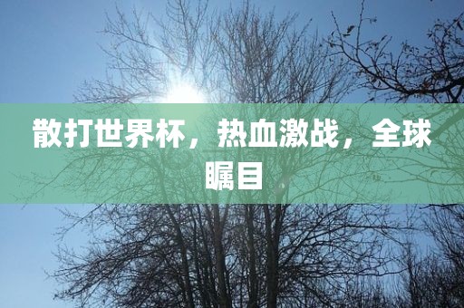 散打世界杯，热血激战，全球瞩目