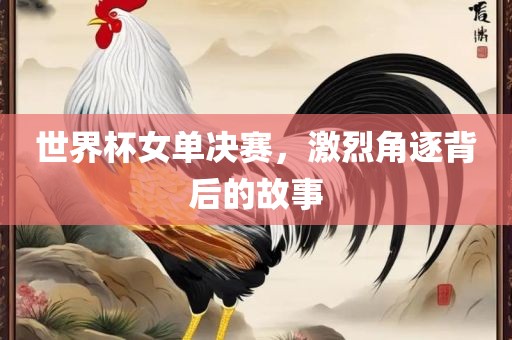世界杯女单决赛，激烈角逐背后的故事
