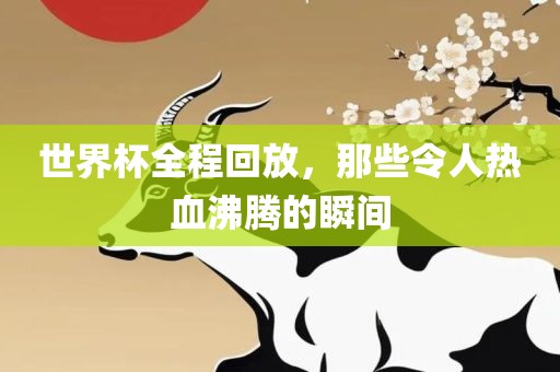 世界杯全程回放，那些令人热血沸腾的瞬间