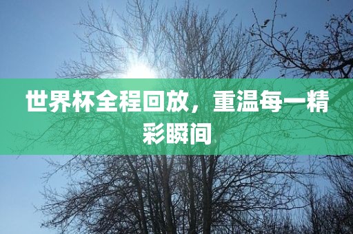 世界杯全程回放，重温每一精彩瞬间