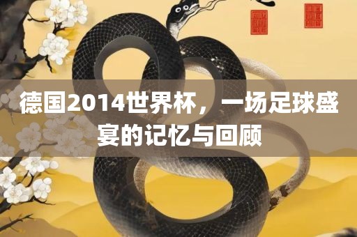 德国2014世界杯，一场足球盛宴的记忆与回顾