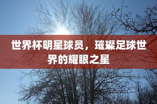 世界杯明星球员，璀璨足球世界的耀眼之星