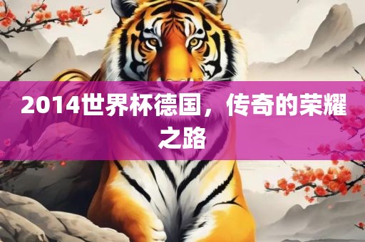 2014世界杯德国，传奇的荣耀之路