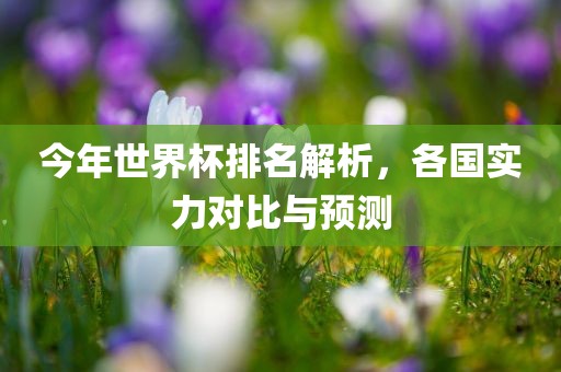 今年世界杯排名解析，各国实力对比与预测