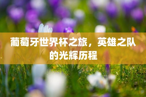 葡萄牙世界杯之旅，英雄之队的光辉历程