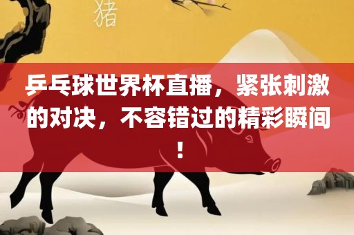 乒乓球世界杯直播，紧张刺激的对决，不容错过的精彩瞬间！