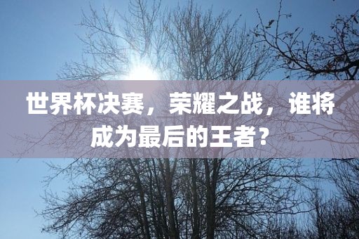 世界杯决赛，荣耀之战，谁将成为最后的王者？