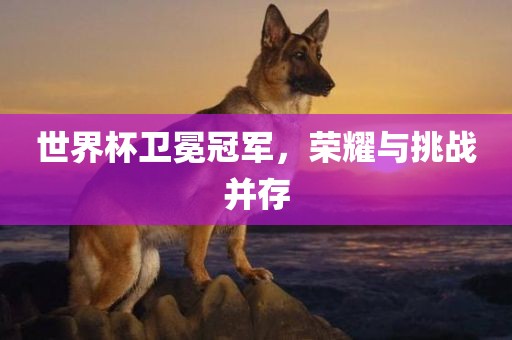 世界杯卫冕冠军，荣耀与挑战并存