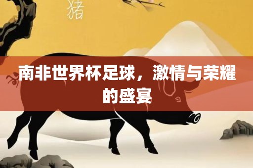南非世界杯足球，激情与荣耀的盛宴