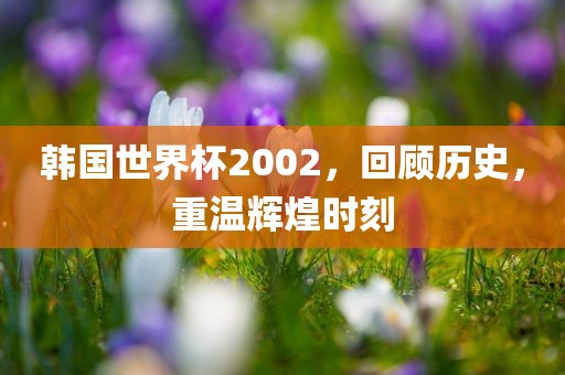 韩国世界杯2002，回顾历史，重温辉煌时刻