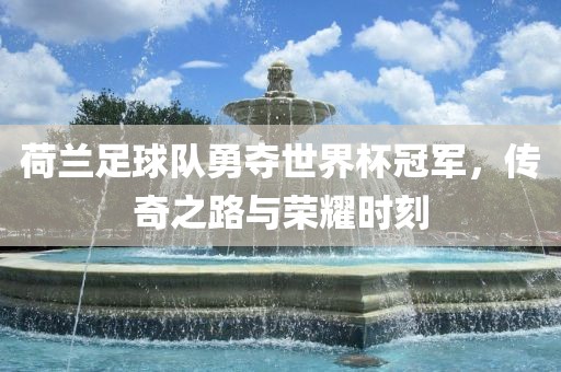 荷兰足球队勇夺世界杯冠军，传奇之路与荣耀时刻