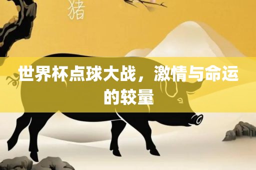 世界杯点球大战，激情与命运的较量