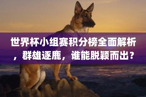 世界杯小组赛积分榜全面解析，群雄逐鹿，谁能脱颖而出？