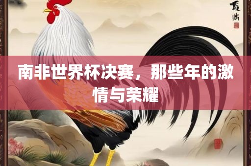 南非世界杯决赛，那些年的激情与荣耀