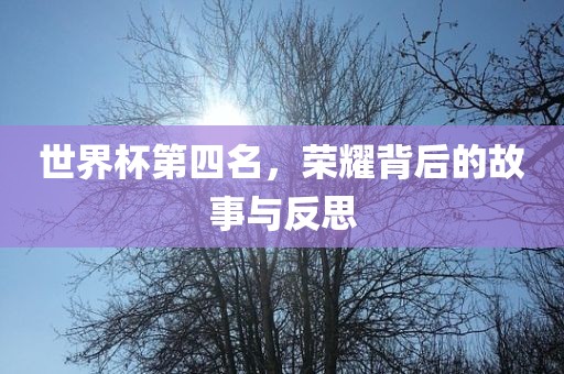 世界杯第四名，荣耀背后的故事与反思